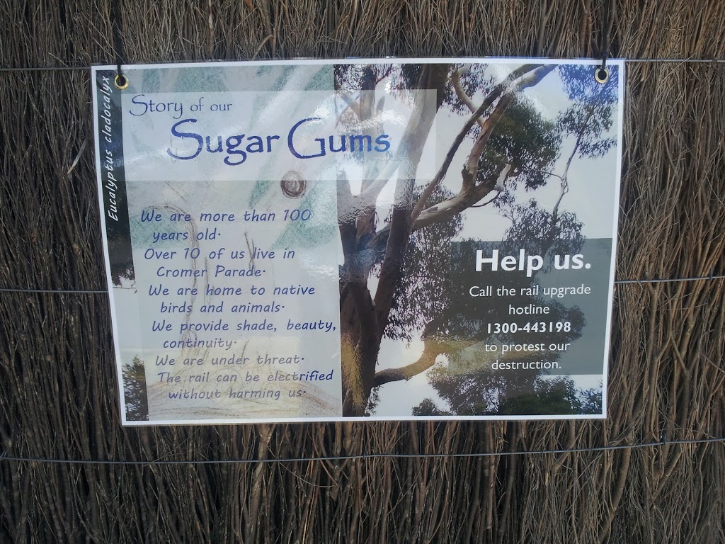 Save the Sugar Gums
