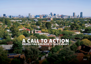 A call to Action: Protecting Adela